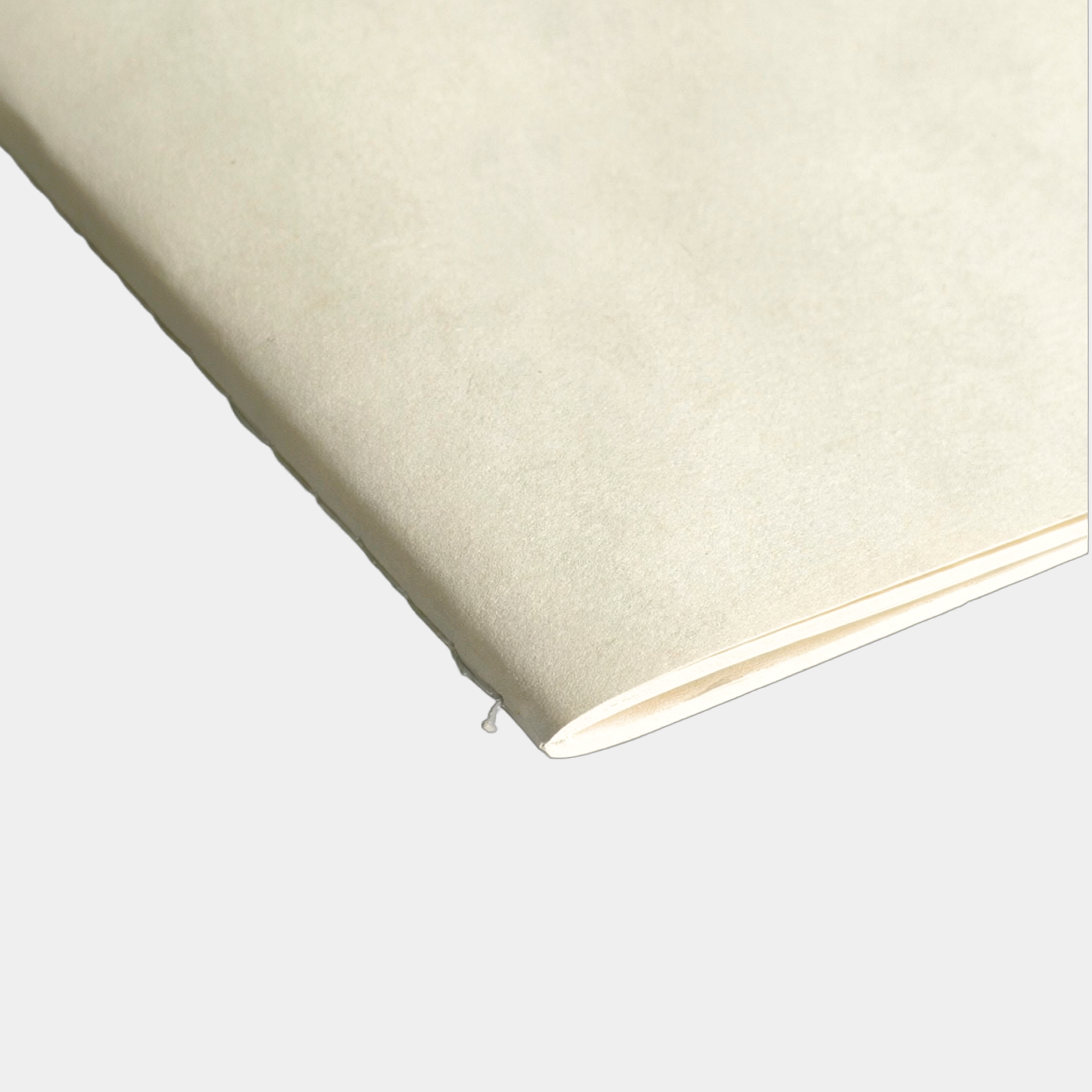 Softcover Journal | Beige